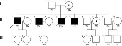 Cerebello-brainstem dominant form of X-linked adrenoleukodystrophy with intrafamilial phenotypic variability